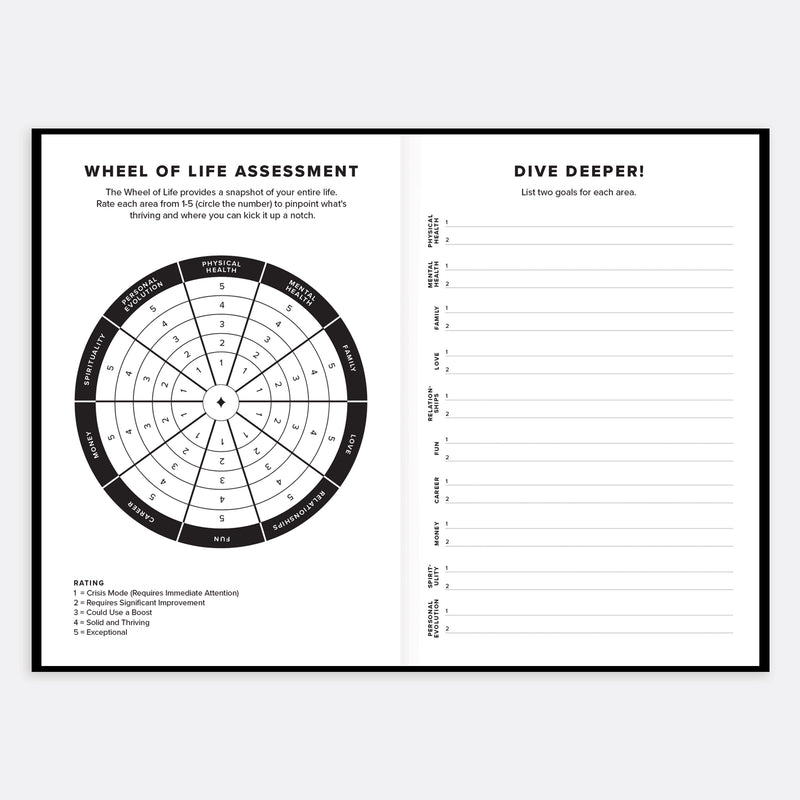 The Everything Planner opened Wheel of Life pages