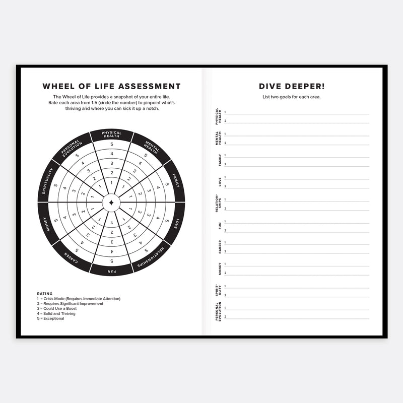 The Everything Planner opened Wheel of LIfe pages